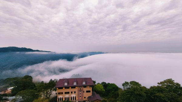 苗栗大湖 #薑麻園 #雲洞山莊 #琉璃光 #雲海 #雲瀑 2/222718321