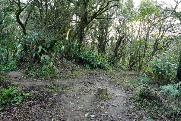 臺北 士林 香對山、頂山、杏林山、北五指山、高頂山、北頂山、馬蕃山、頂山溪山、五指山2703235