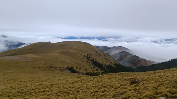 百岳:三叉山1979141