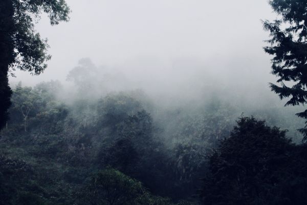 作伙來去北大武304396