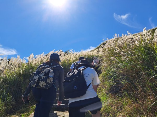 小百岳集起來大屯主峰，七星峰主峰，東峰步道3135731