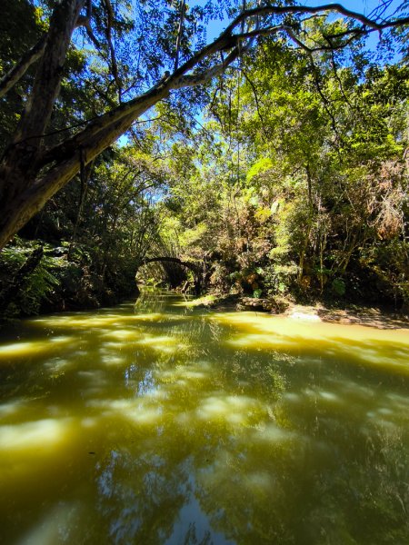 2024-08-22 澀水森林步道2578440