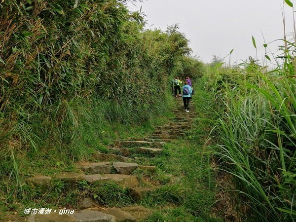 台北市第一高峰。 編號02小百岳七星山1235298