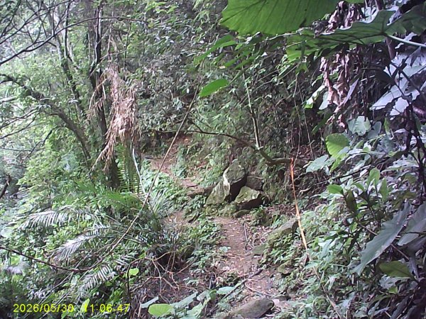 內灣南坪古道、馬胎古道及內灣O繞，順道拜訪位移總督府交通局遞信部基石。3067409