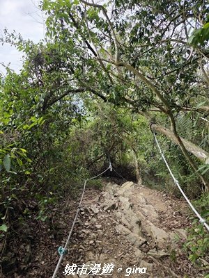 【屏東來義】小百岳棚集山x棚集下山O 繞3013094