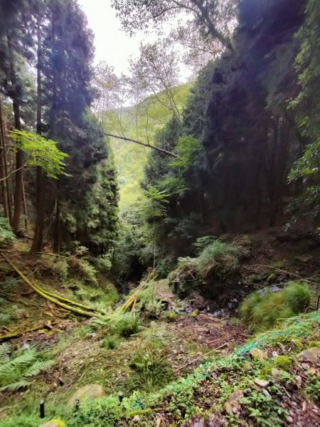 檜山巨木群步道2250310