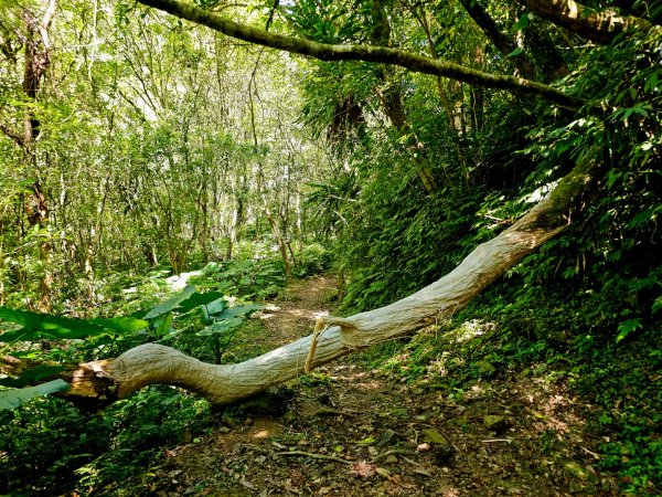 灣潭古道(淡蘭中路)-新北市雙溪區2882675