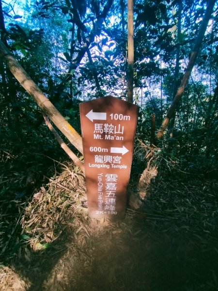 雲嘉連峰2365707