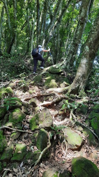 《新竹》沒那簡單｜關西赤柯山東獅頭山步道O繞202506152813517