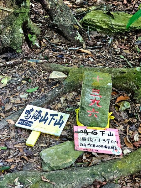 鳴海山-小百岳#71-高雄市茂林區2930876
