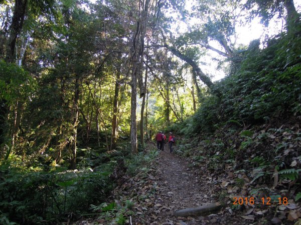 20161218_馬那邦山874315