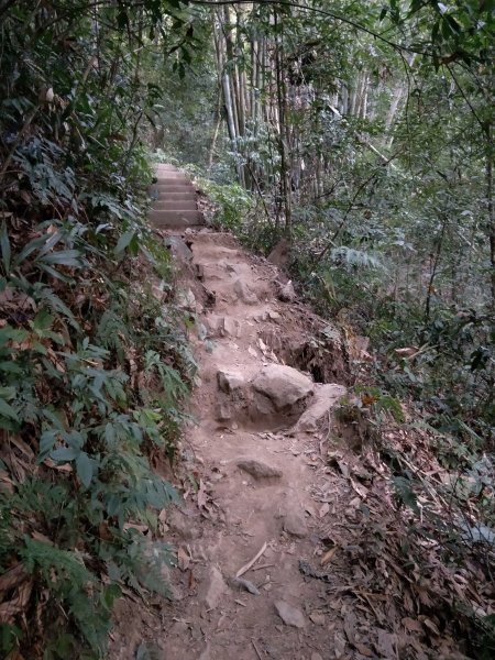 步道巡訪員 l 白毛山步道11月巡訪日誌1158439