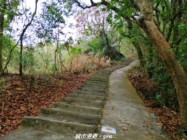 【南投。草屯】蜿蜒步道很親民。 中興新村虎山步道1383086