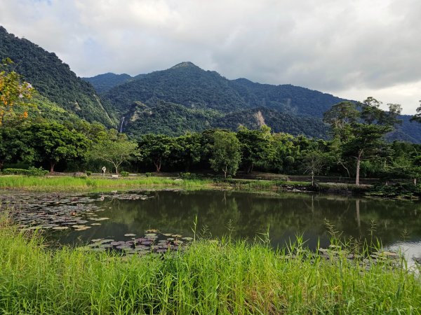 羅山村竹林步道-2025漫遊縱谷愛在花東-花蓮縣富里鄉2916731
