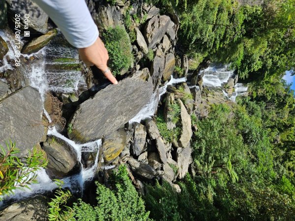 福山大羅蘭溪>古圳步道>黃金水岸2858969