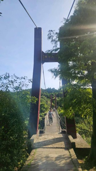 20251011七股山-七股山東北稜-七股山北峰-七股山東北峰-下七股西南-下七股-下七股東北-下七2910562