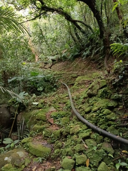 雙溪區三叉港+遠景古道+楊廷理古道+雞母嶺街O型2758633