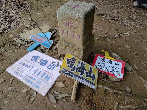 鳴海山、龍頭山步道2157079