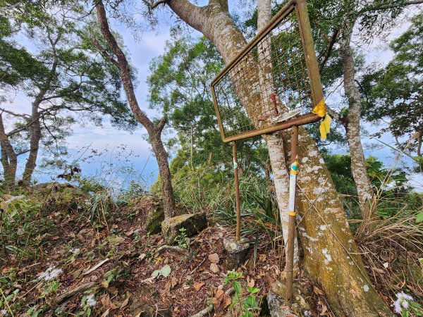 20241222二載山與大橫屏山南峰(追加鹽菜甕山、鹽菜甕下山)2721497