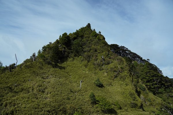 南橫三星 | 南橫公路風華再現、埡口爍爍關山嶺山1700379