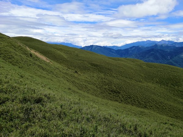 南投~仁愛~箭竹草原全視野~合歡北峰1008212