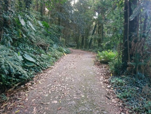 馬那邦山(小百岳編號037)720086