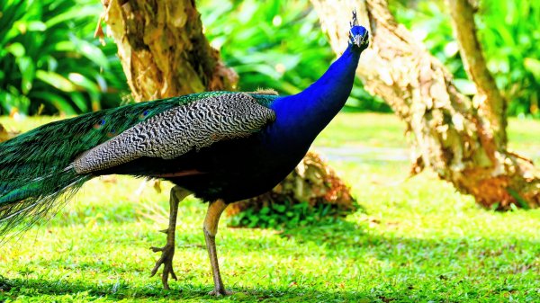 豐之谷,理想大地,林田山,立川漁場3007276