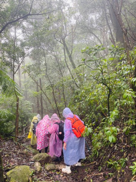 1131225新山夢湖2676516