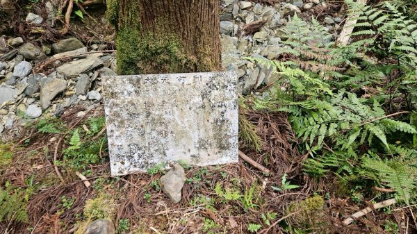 20250420古魯古道-大元山-大元國小2767386