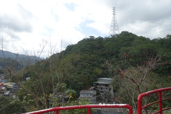 觀音台 水柳腳登山步道3085144