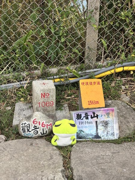 觀音山硬漢嶺 22899093