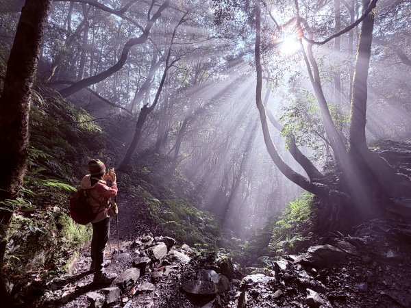 鎮西堡巨木步道B區全段+A區部分