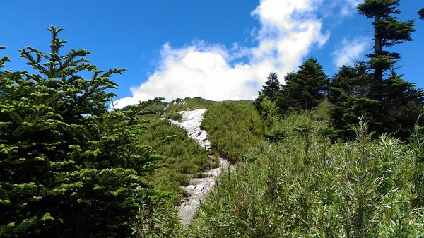 合歡山主峰、東峰、石門山及合歡尖山之行360934