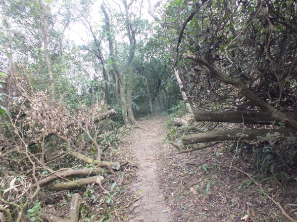 百二階古道+苕谷瀑布+逸仙山+泰和樓2734460