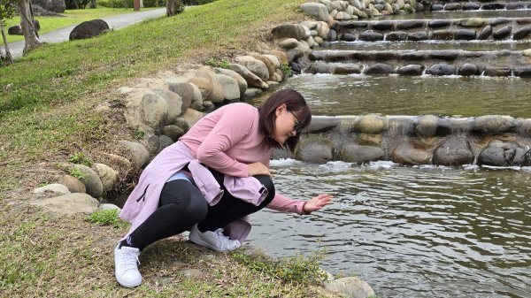 2024月眉落羽松季絕美登場，季節限定，免入園費免停車費，怎麼拍都美，不用出國就能拍繽紛大景。2668334