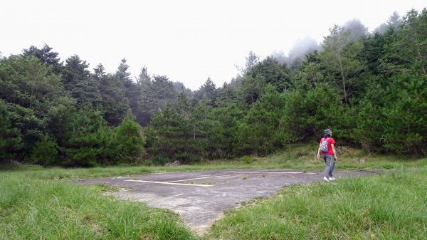 觀霧森林雲霧步道2290382