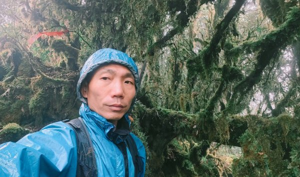 茶仁山單攻2025年4月4日2753360