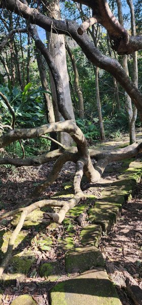 2026_01_18_探索你的後花園@土城2985012