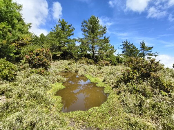 北一段(10/14)馬比杉山 2025_0906~132887132