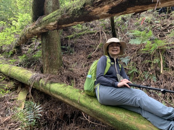 20250517義義兒玉山-東水山2791652