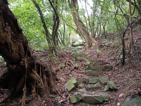 頭城鎮石城車站+隆嶺越嶺古道+隆嶺溪畔古道+福隆車站3002269