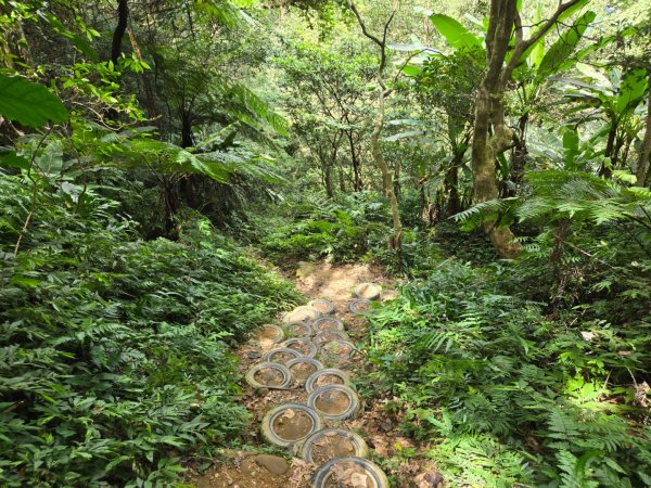 桃園石門山（小百岳）2910070