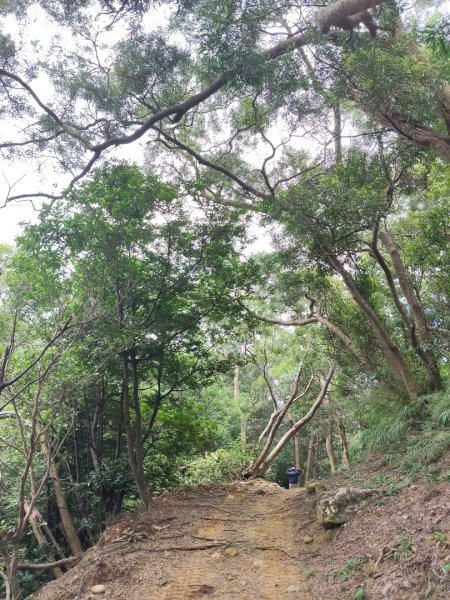 石光古道2848862