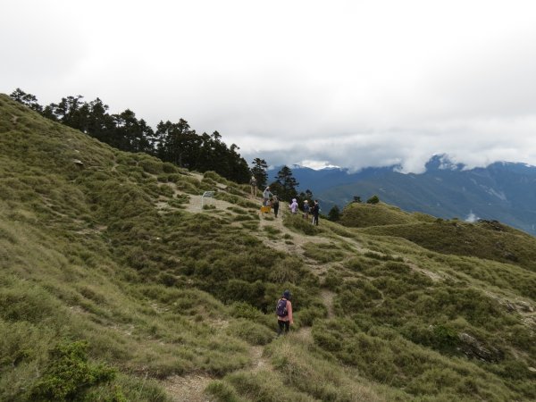 合歡山東峰-尖山-小奇萊-石門山2513146