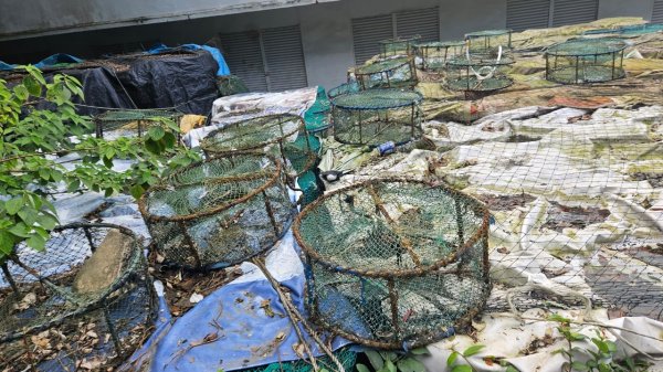 20250302玉田古道-瑪鋉三山出武聖街2725245