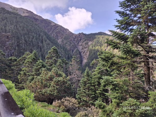 2025.07.17 夏季單登玉山主峰西峰2842676