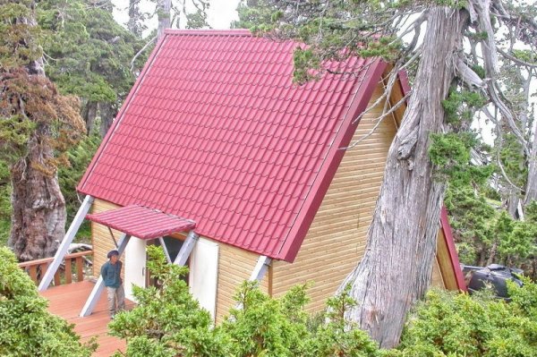 雪霸國家公園管理處 因應新型冠狀病毒(武漢肺炎)登山服務措施