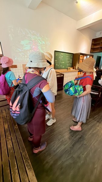 雨天備案💙 台灣博物館的古生代館-台大動植物館免費參觀-北投♨️季2808832