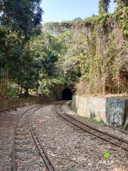 獨立山步道835542