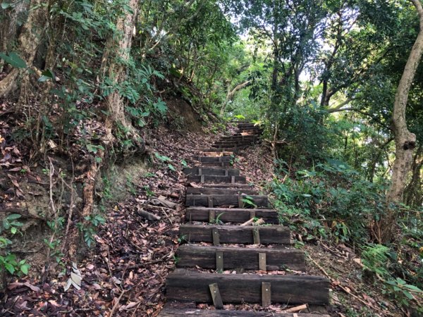 台南市南化區與高雄市內門區交界的龍鱗山（王爺崙山）步道2301077